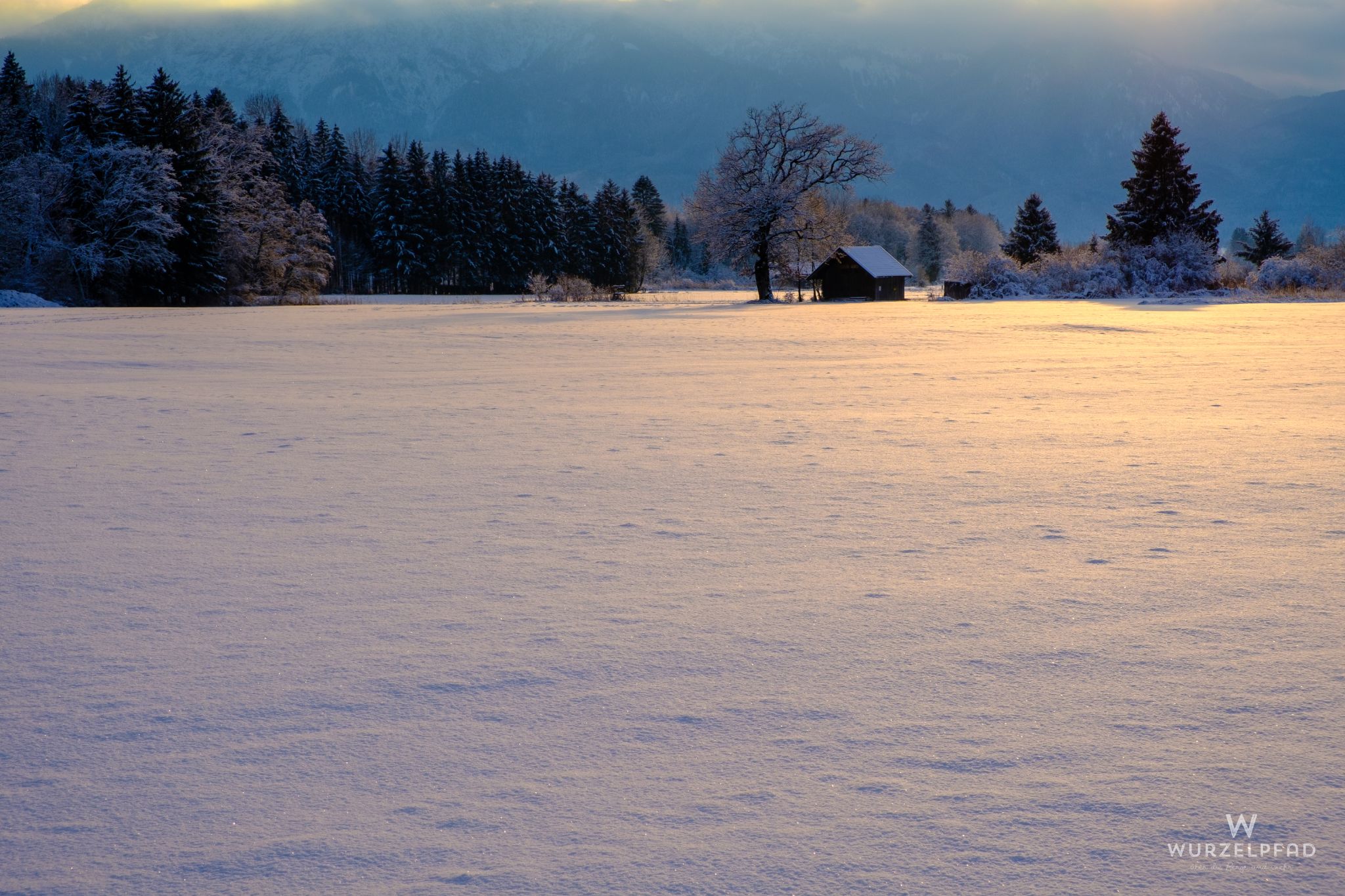 Loisachmoor in der Abendsonne